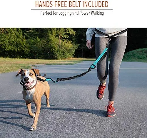 Correa de cuerda elástica para perros Outdoormaster; para mayor seguridad y comodidad de su perro.