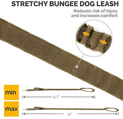 Correa de cuerda elástica para perros Outdoormaster; para mayor seguridad y comodidad de su perro.