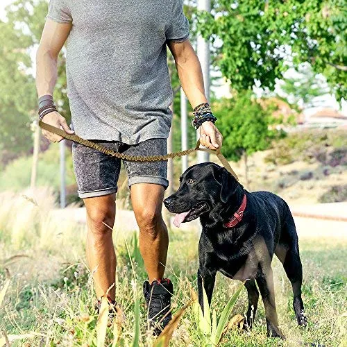 Correa de cuerda elástica para perros Outdoormaster; para mayor seguridad y comodidad de su perro.