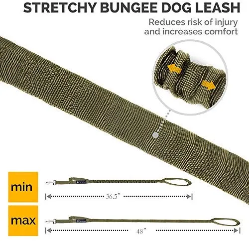 Correa de cuerda elástica para perros Outdoormaster; para mayor seguridad y comodidad de su perro.