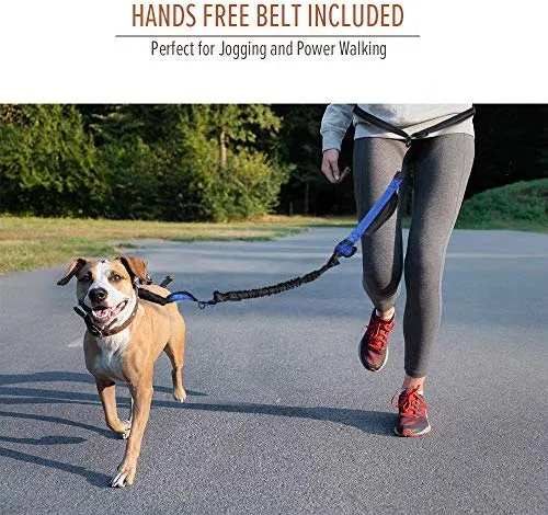 Correa de cuerda elástica para perros Outdoormaster; para mayor seguridad y comodidad de su perro.