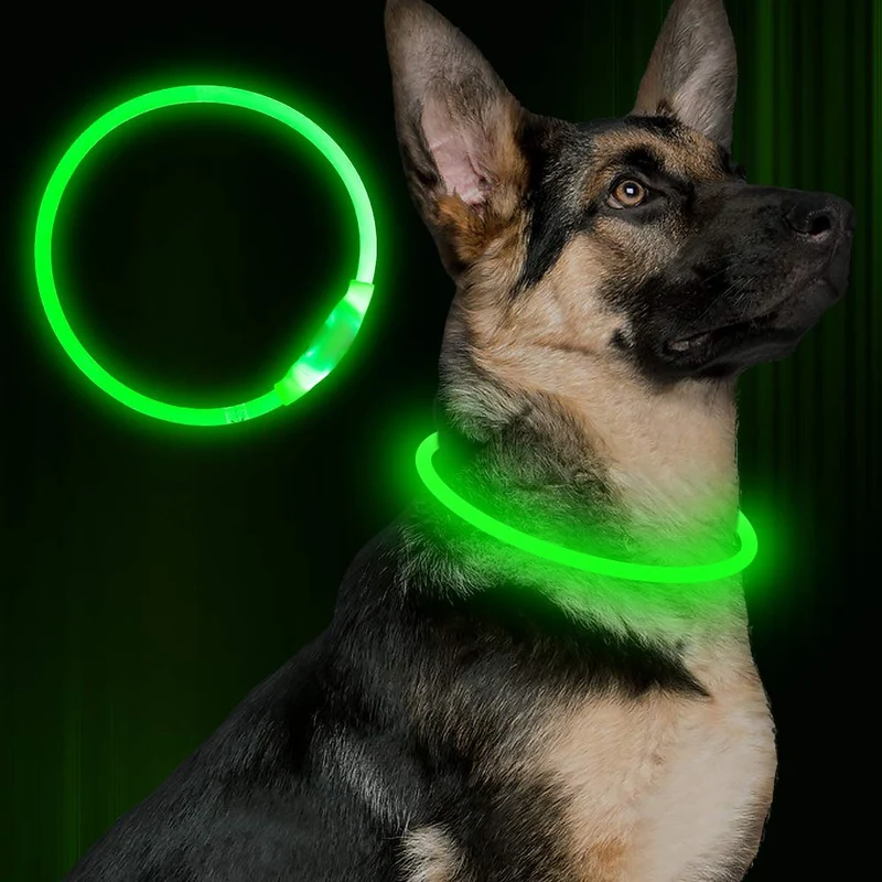 BSEEN Collar LED para perro, recargable por USB, collar brillante para perro para la seguridad nocturna, collar de moda para perros pequeños, medianos y grandes