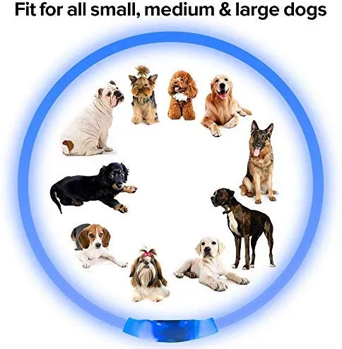 BSEEN Collar LED para perro, recargable por USB, collar brillante para perro para la seguridad nocturna, collar de moda para perros pequeños, medianos y grandes