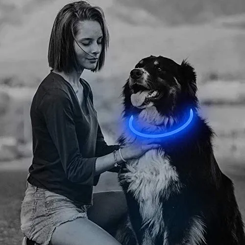 BSEEN Collar LED para perro, recargable por USB, collar brillante para perro para la seguridad nocturna, collar de moda para perros pequeños, medianos y grandes