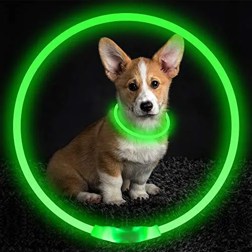 BSEEN Collar LED para perro, recargable por USB, collar brillante para perro para la seguridad nocturna, collar de moda para perros pequeños, medianos y grandes