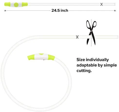 BSEEN Collar LED para perro, recargable por USB, collar brillante para perro para la seguridad nocturna, collar de moda para perros pequeños, medianos y grandes