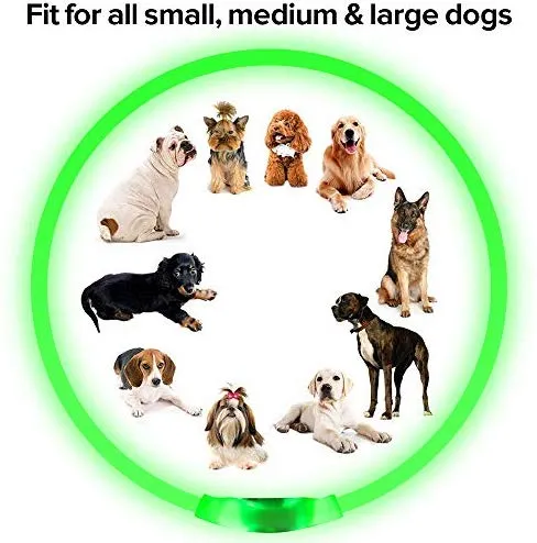 BSEEN Collar LED para perro, recargable por USB, collar brillante para perro para la seguridad nocturna, collar de moda para perros pequeños, medianos y grandes