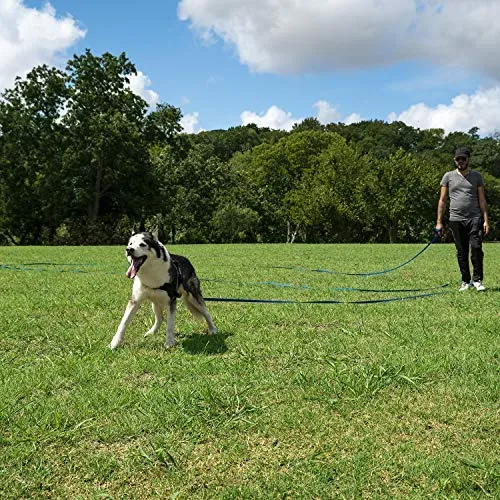 Hi Kiss - Correa de entrenamiento para perro/cachorro de obediencia para entrenamiento de agilidad – 15 ft 20 ft 30 ft 50 ft – ideal para entrenamiento, juego, camping o patio trasero