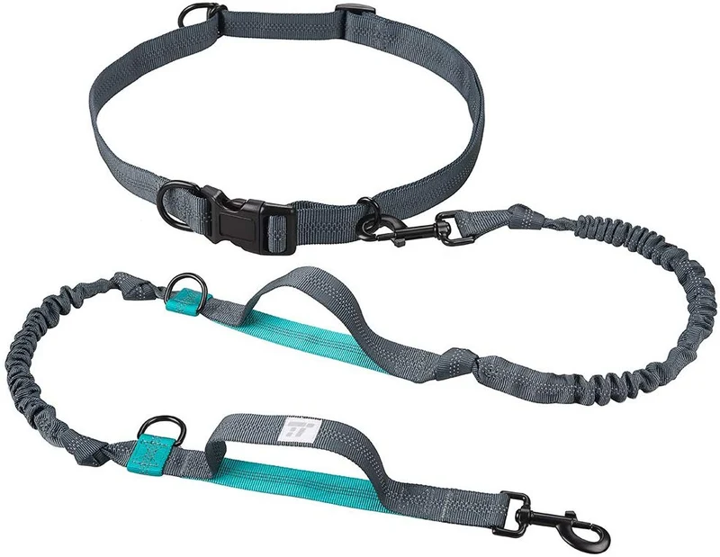 TaoTronics Correa para perro retráctil con manos libres con doble elástico para perros de hasta 150 libras