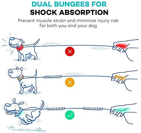 TaoTronics Correa para perro retráctil con manos libres con doble elástico para perros de hasta 150 libras