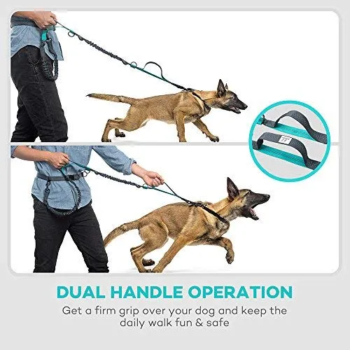 TaoTronics Correa para perro retráctil con manos libres con doble elástico para perros de hasta 150 libras