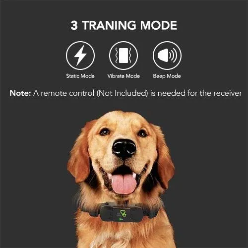 Collar de adiestramiento para perro receptor, Dogcare, collar de choque recargable, receptor, collar de entrenamiento, 100% impermeable collar ajustable para todos los tamaños de perro (10lbs-100lbs)