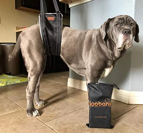 LOOBANI - Arnés portátil para perro, para la espalda, para ayudar a levantar perros traseros para la ayuda canina y la rehabilitación del ligamento cruzado K9 antiguo