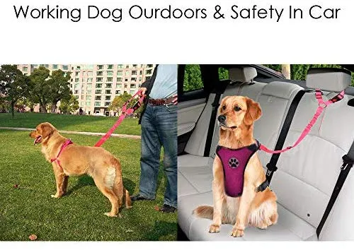 SlowTon Cinturón de seguridad para perro, 2 unidades, cinturón de seguridad para mascotas, cinturón de seguridad ajustable para cachorro, cinturón de seguridad reflectante elástico elástico para conectar arnés de perro en el vehículo de viaje, uso diario