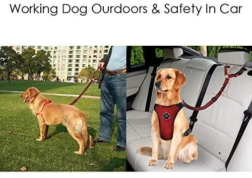 SlowTon Cinturón de seguridad para perro, 2 unidades, cinturón de seguridad para mascotas, cinturón de seguridad ajustable para cachorro, cinturón de seguridad reflectante elástico elástico para conectar arnés de perro en el vehículo de viaje, uso diario