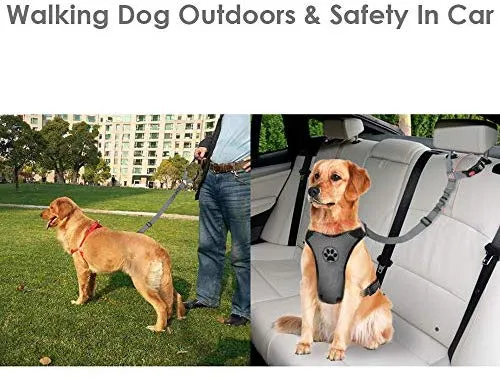 SlowTon Cinturón de seguridad para perro, 2 unidades, cinturón de seguridad para mascotas, cinturón de seguridad ajustable para cachorro, cinturón de seguridad reflectante elástico elástico para conectar arnés de perro en el vehículo de viaje, uso diario