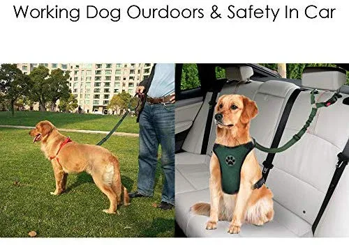 SlowTon Cinturón de seguridad para perro, 2 unidades, cinturón de seguridad para mascotas, cinturón de seguridad ajustable para cachorro, cinturón de seguridad reflectante elástico elástico para conectar arnés de perro en el vehículo de viaje, uso diario