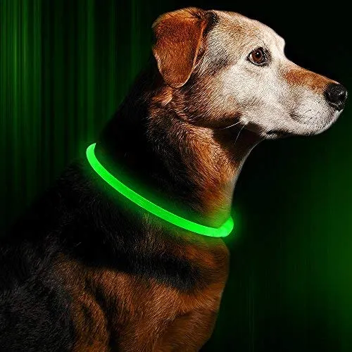 Collar de perro LED BSEEN recargable por USB, brillante para seguridad nocturna, collar de perro de moda, para perros pequeños, medianos y grandes