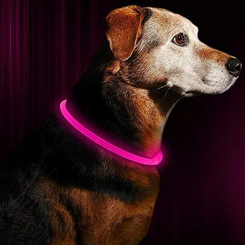 Collar de perro LED BSEEN recargable por USB, brillante para seguridad nocturna, collar de perro de moda, para perros pequeños, medianos y grandes