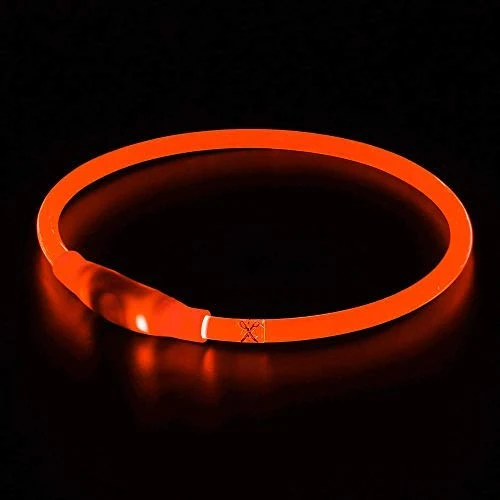 Collar de perro LED BSEEN recargable por USB, brillante para seguridad nocturna, collar de perro de moda, para perros pequeños, medianos y grandes