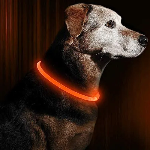 Collar de perro LED BSEEN recargable por USB, brillante para seguridad nocturna, collar de perro de moda, para perros pequeños, medianos y grandes