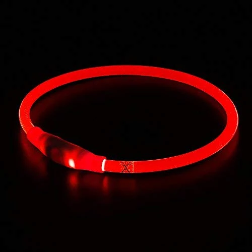 Collar de perro LED BSEEN recargable por USB, brillante para seguridad nocturna, collar de perro de moda, para perros pequeños, medianos y grandes