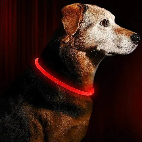 Collar de perro LED BSEEN recargable por USB, brillante para seguridad nocturna, collar de perro de moda, para perros pequeños, medianos y grandes