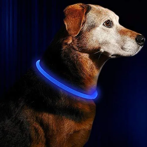 Collar de perro LED BSEEN recargable por USB, brillante para seguridad nocturna, collar de perro de moda, para perros pequeños, medianos y grandes