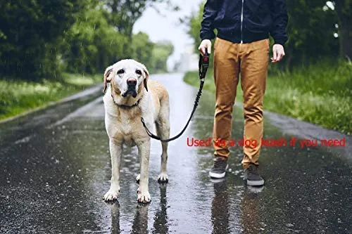 BWOGUE 2 paquetes de correas de seguridad para perros y gatos, para reposacabezas de coche, de nailon, ajustables, para perros, cinturones de seguridad, arnés