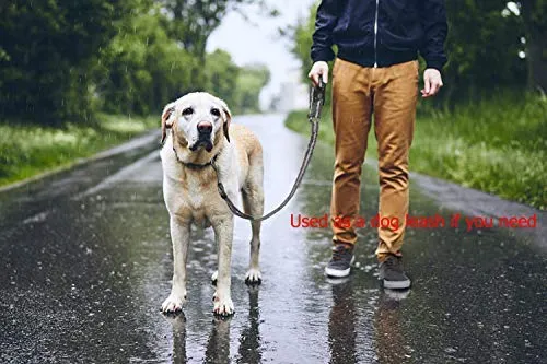 BWOGUE 2 paquetes de correas de seguridad para perros y gatos, para reposacabezas de coche, de nailon, ajustables, para perros, cinturones de seguridad, arnés