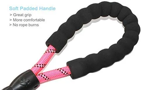 BAAPET 5 FT Strong Dog Leash with Comfortable Padded Handle and Highly Reflective Threads Dog Leashes for Medium and Large Dogs