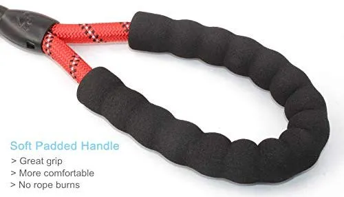 BAAPET 5 FT Strong Dog Leash with Comfortable Padded Handle and Highly Reflective Threads Dog Leashes for Medium and Large Dogs