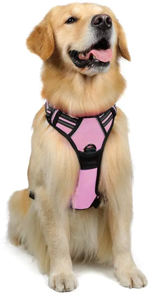 Rabbitgoo Arnés de perro sin tirones arnés ajustable al aire libre mascota chaleco 3M reflectante material Oxford chaleco para perros fácil control para perros pequeños, medianos y grandes