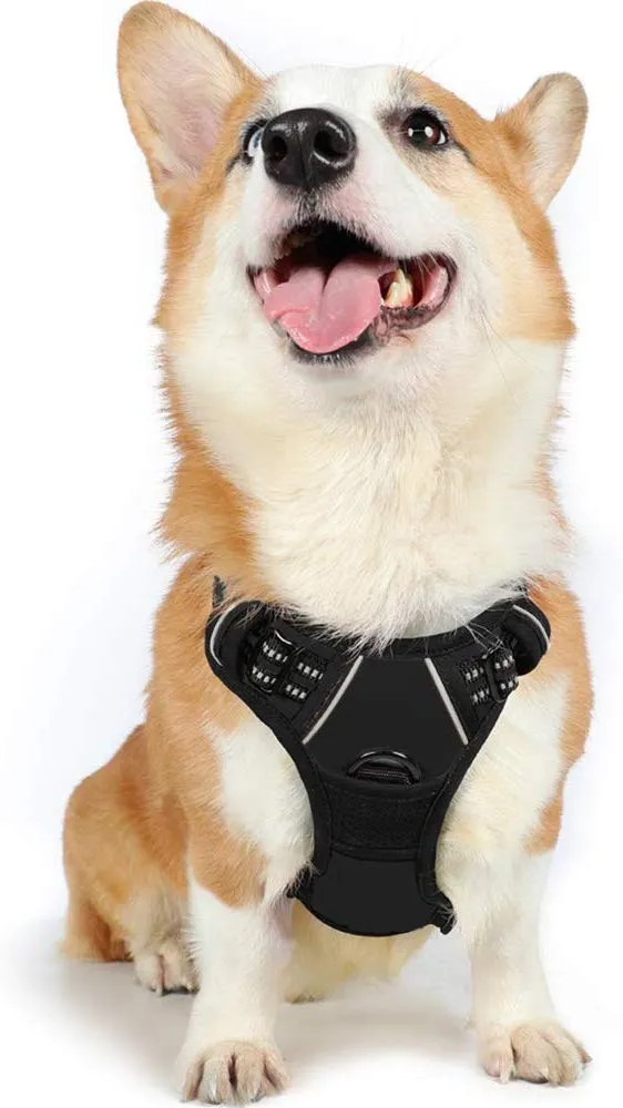 Rabbitgoo Arnés de perro sin tirones arnés ajustable al aire libre mascota chaleco 3M reflectante material Oxford chaleco para perros fácil control para perros pequeños, medianos y grandes