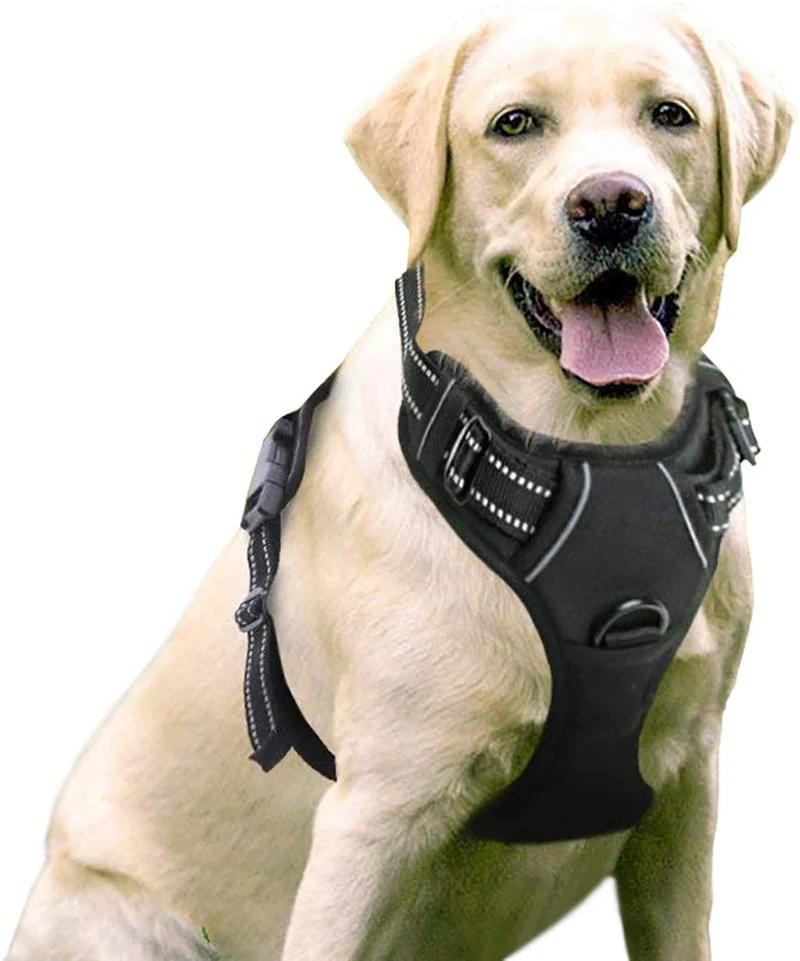 Rabbitgoo Arnés de perro sin tirones arnés ajustable al aire libre mascota chaleco 3M reflectante material Oxford chaleco para perros fácil control para perros pequeños, medianos y grandes