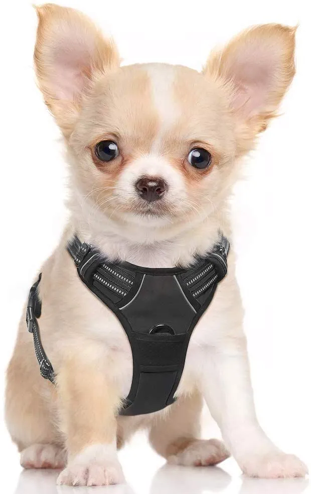 Rabbitgoo Arnés de perro sin tirones arnés ajustable al aire libre mascota chaleco 3M reflectante material Oxford chaleco para perros fácil control para perros pequeños, medianos y grandes