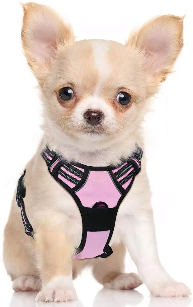 Rabbitgoo Arnés de perro sin tirones arnés ajustable al aire libre mascota chaleco 3M reflectante material Oxford chaleco para perros fácil control para perros pequeños, medianos y grandes