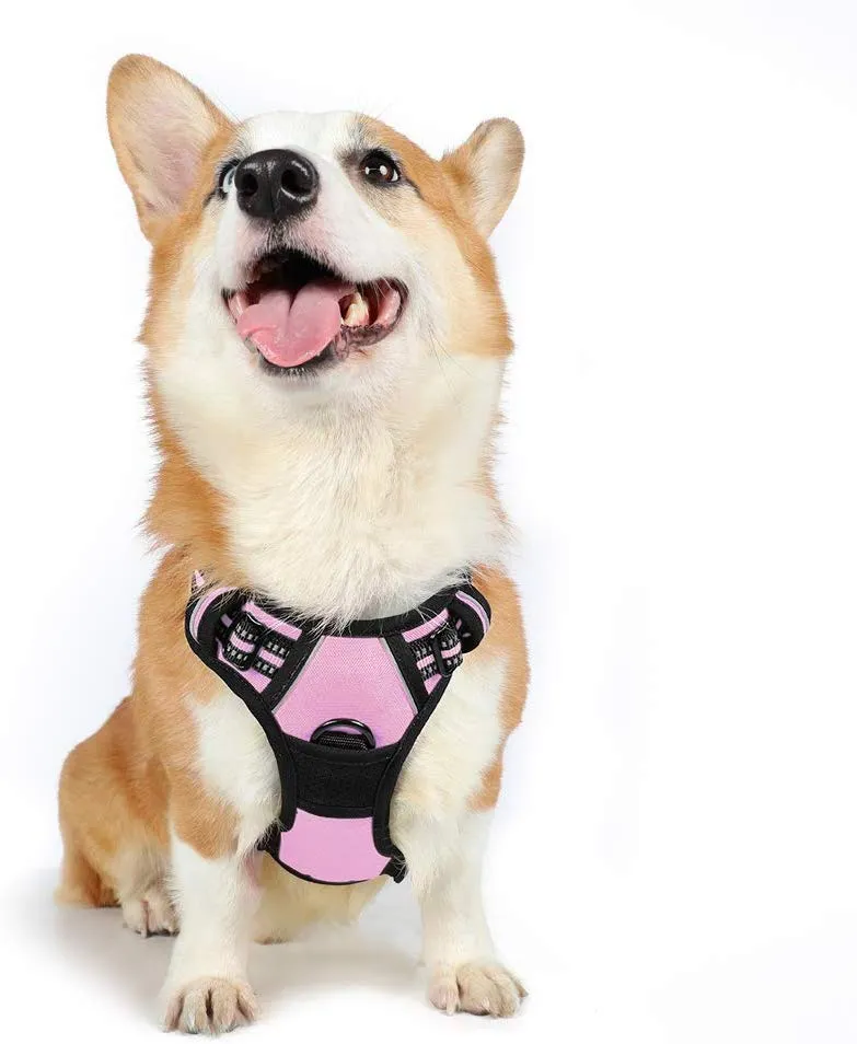 Rabbitgoo Arnés de perro sin tirones arnés ajustable al aire libre mascota chaleco 3M reflectante material Oxford chaleco para perros fácil control para perros pequeños, medianos y grandes