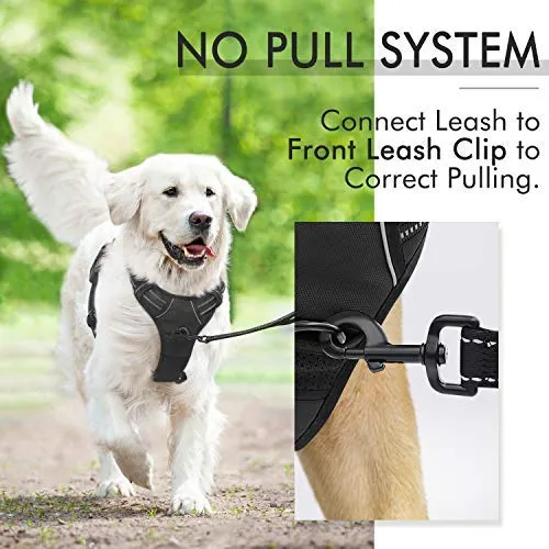 Rabbitgoo Arnés de perro sin tirones arnés ajustable al aire libre mascota chaleco 3M reflectante material Oxford chaleco para perros fácil control para perros pequeños, medianos y grandes