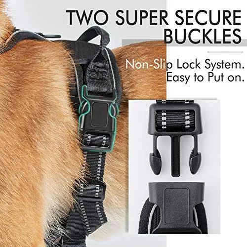Rabbitgoo Arnés de perro sin tirones arnés ajustable al aire libre mascota chaleco 3M reflectante material Oxford chaleco para perros fácil control para perros pequeños, medianos y grandes
