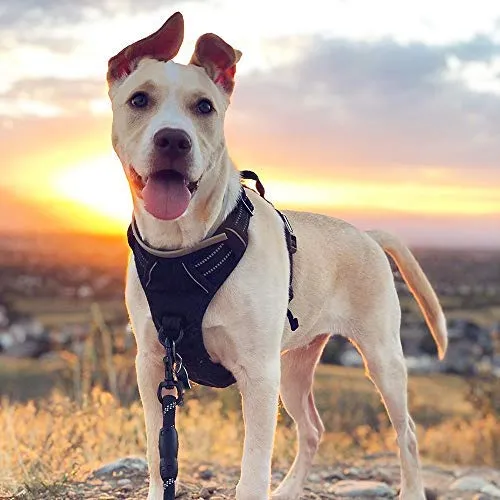 Rabbitgoo Arnés de perro sin tirones arnés ajustable al aire libre mascota chaleco 3M reflectante material Oxford chaleco para perros fácil control para perros pequeños, medianos y grandes
