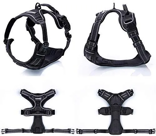 Rabbitgoo Arnés de perro sin tirones arnés ajustable al aire libre mascota chaleco 3M reflectante material Oxford chaleco para perros fácil control para perros pequeños, medianos y grandes