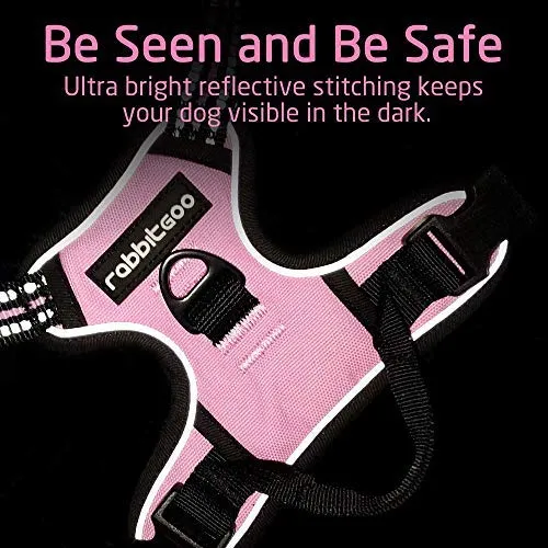 Rabbitgoo Arnés de perro sin tirones arnés ajustable al aire libre mascota chaleco 3M reflectante material Oxford chaleco para perros fácil control para perros pequeños, medianos y grandes