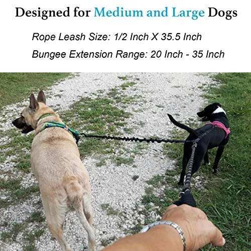 iYoShop Dual Dog Leash, Double Dog Leash, 360 Swivel No Tangle Double Dog Walking Training Leash, Comfortable Shock Absorbing Reflective Bungee for Two Dogs, Black, Medium Large