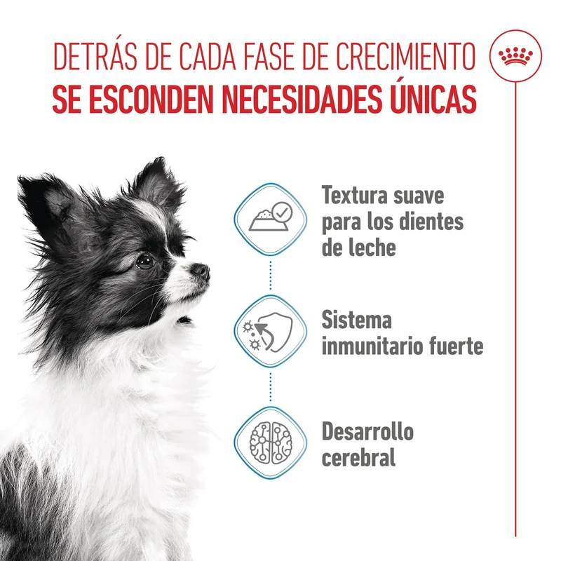 Royal Canin X-Small Puppy 85 g Comida Húmeda para Cachorros