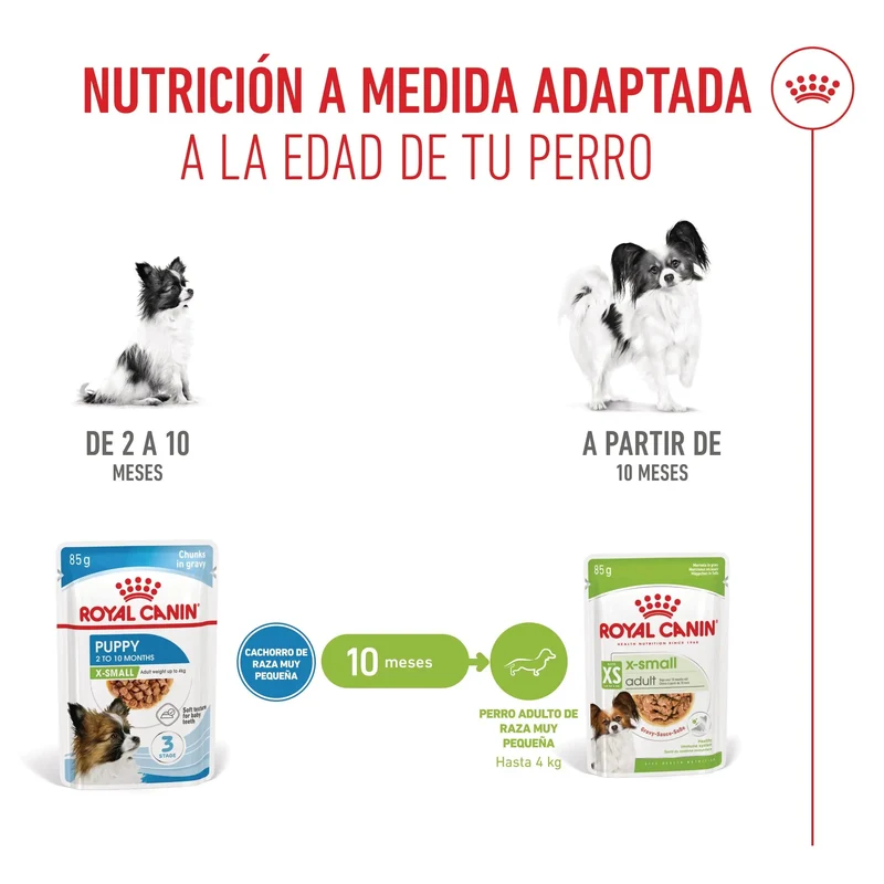 Royal Canin X-Small Puppy 85 g Comida Húmeda para Cachorros