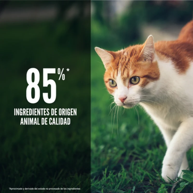 Orijen Cat Fit y Trim