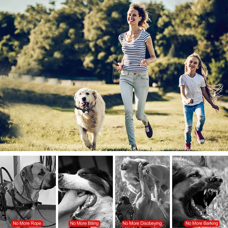 PeiTe Collar de entrenamiento para perro, collar con mando a distancia, 100% resistente a la lluvia, batería de bebida, vibración de pie, hasta 3.3 ft, rango remoto para perros pequeños, medianos y grandes
