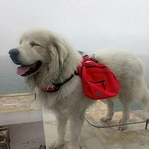 OSPet - Mochila para perro grande, desmontable, se convierte al instante en arnés, ajustable