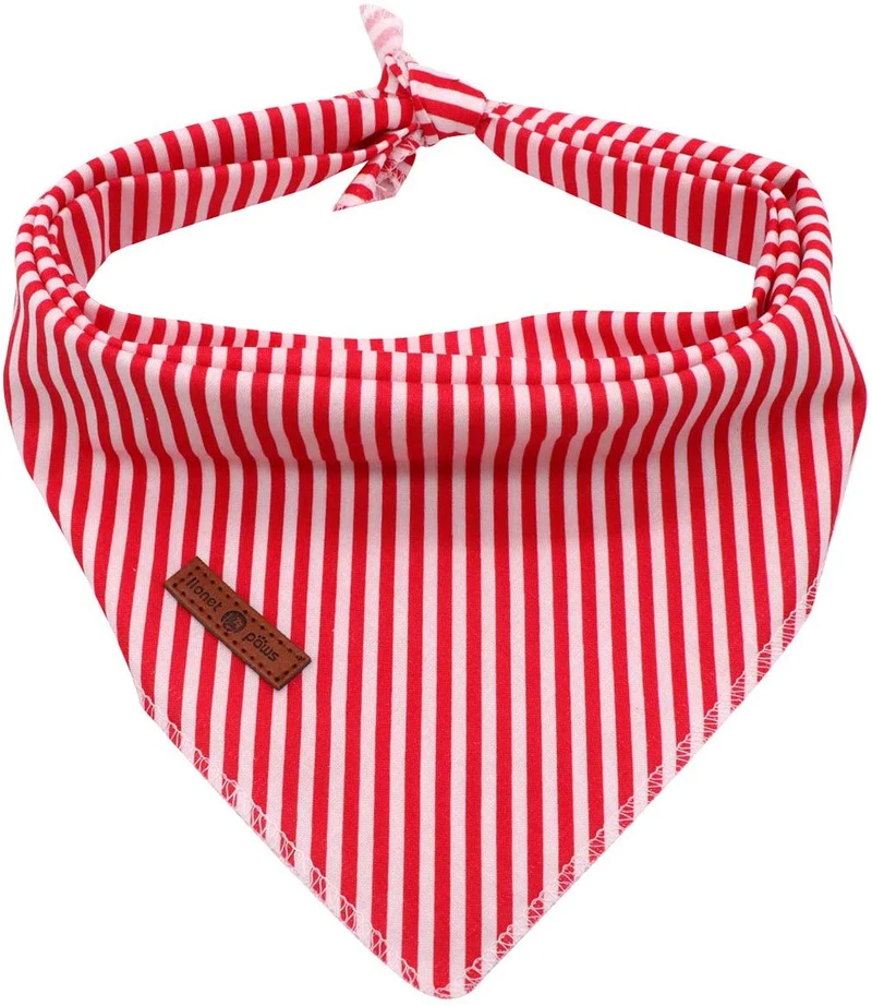Lionet Paws Bandana para perro pequeño, mediano y grande, pañuelo para perro o gato